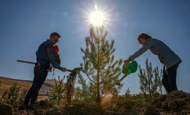 Sayılı Günler Kaldı: Türkiye 11 Kasım’a Hazırlanıyor
