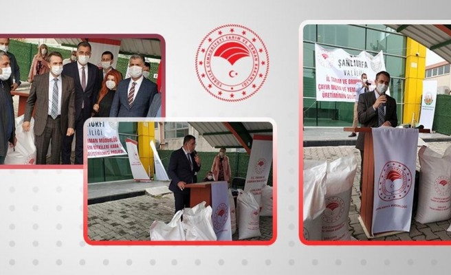 ​Urfa’da çiftçilere destek: Tohum dağıtıldı