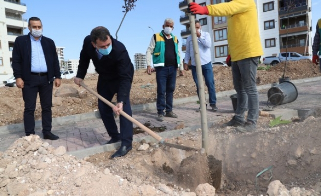Baydilli, ilçedeki park çalışmalarını inceledi