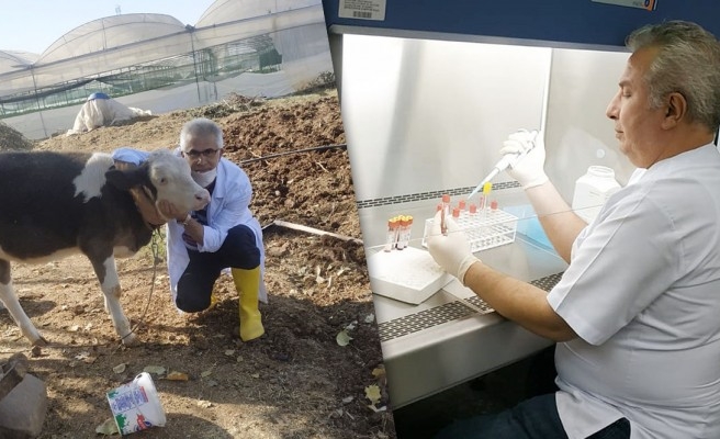 Ölümlere yol açan hastalık için HRÜ'de çalışma başlatıldı