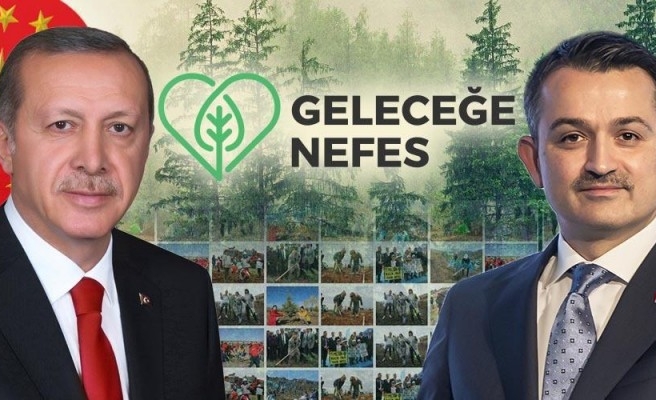 Açıklama geldi: Yarın 81 ilde aynı anda fidanlar dikilecek