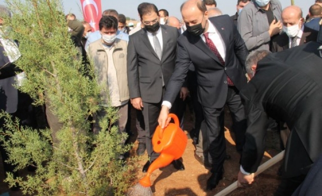 81 ilde eş zamanlı kampanya! Fidanlar toprakla buluştu