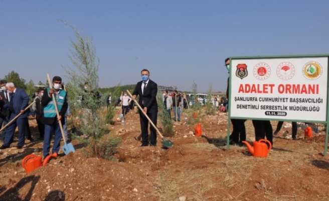 Cumhuriyet Başsavcısı Öztoprak da fidan dikti