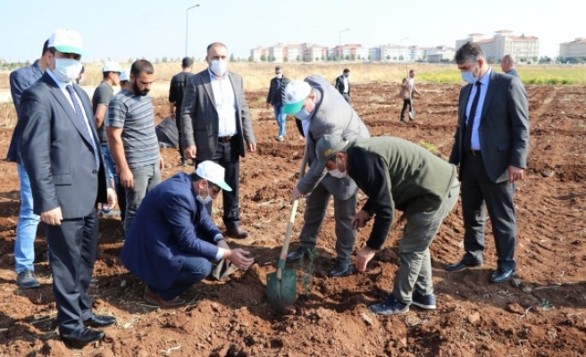 Viranşehir'den kampanyaya destek! Fidanlar dikildi