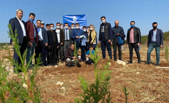DEVA Partisi de fidan dikimine destek verdi