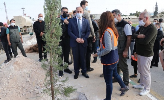 Sınırın öte tarafında ağaçlandırma çalışmaları başladı