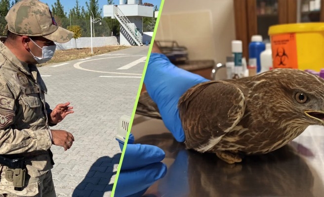 Jandarma buldu, tedaviye alındı!