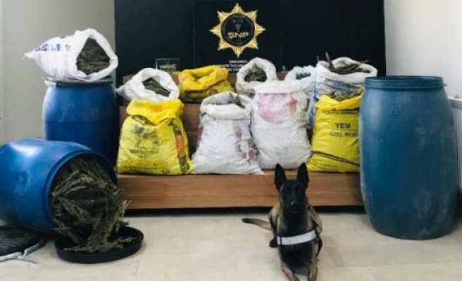 Şanlıurfa'da uyuşturucuyla mücadele sürüyor: 2 gözaltı