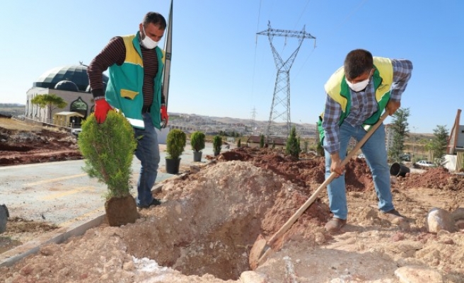Karaköprü'de yeşil alan çalışmaları sürüyor