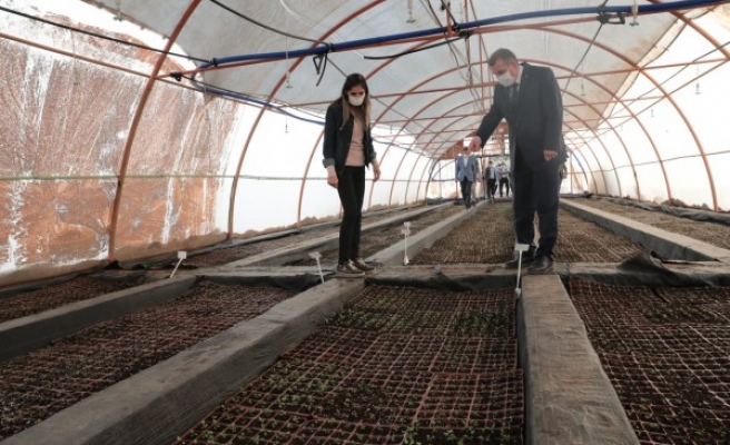 Büyükşehirde 1.5 milyon TL'lik tasarruf: Kendi çiçeğini üretiyor