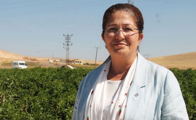 Vildan Polat koronavirüse yakalandı