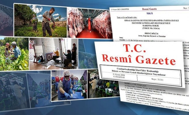 Resmi Gazete'de yayımlandı: İşte hibe desteklerinin detayları