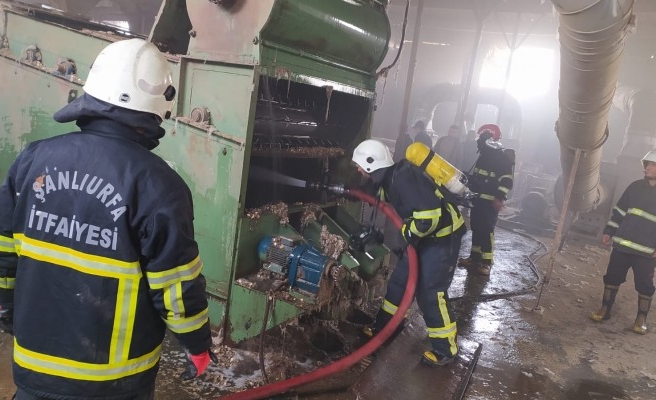 Urfa'daki çırçır fabrikasında yangın çıktı
