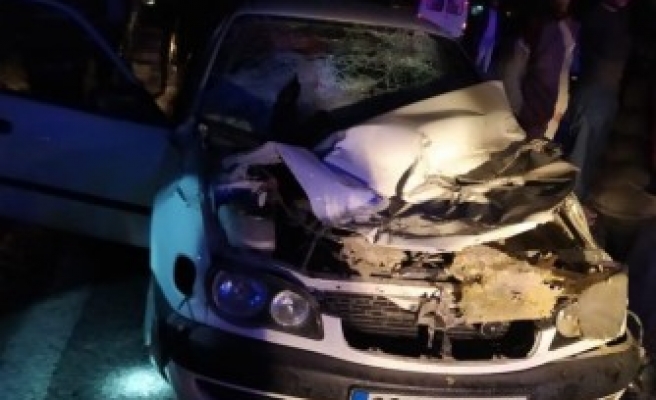 Akçakale'de feci kaza: Ölü ve yaralılar var!