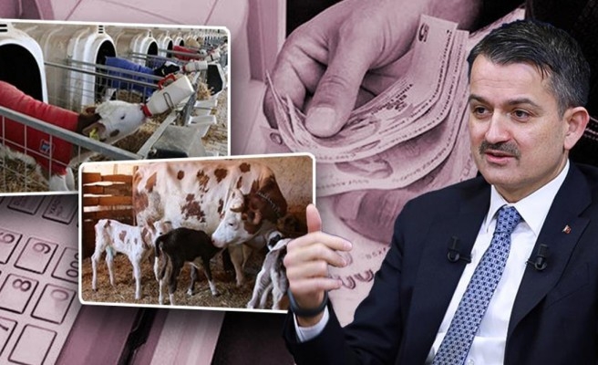 Destekleme ödemeleri için açıklama: Bugün başladı