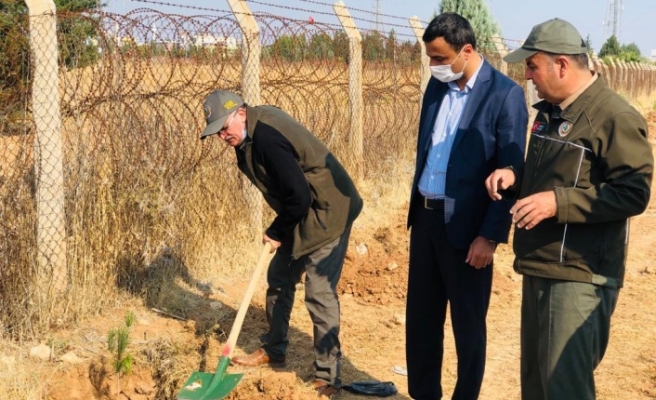 Ceylanpınar’a Roket Yerine Fidan Düştü