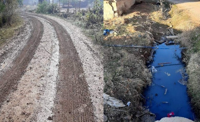 Ceylanpınar'da bir mahalleden 