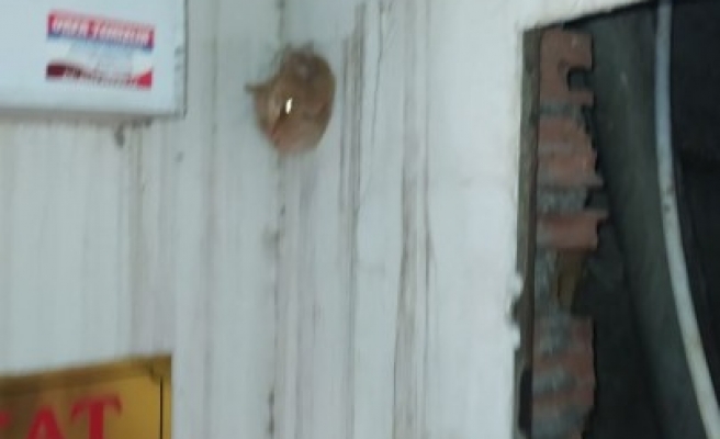 Şanlıurfa'da sıkışan kediyi itfaiye kurtardı