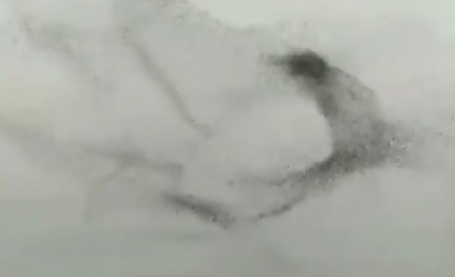 Şanlıurfa'da kuşların büyüleyen dansı!