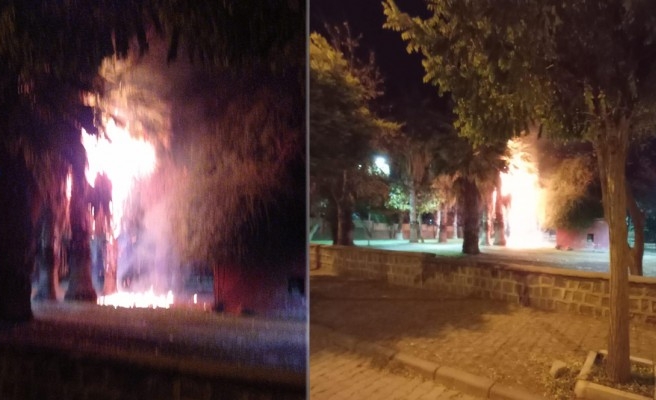 Viranşehir'de parktaki ağaçları yaktılar!