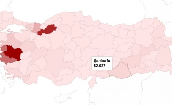 Şanlıurfa'da 82 bin 27 hindi var