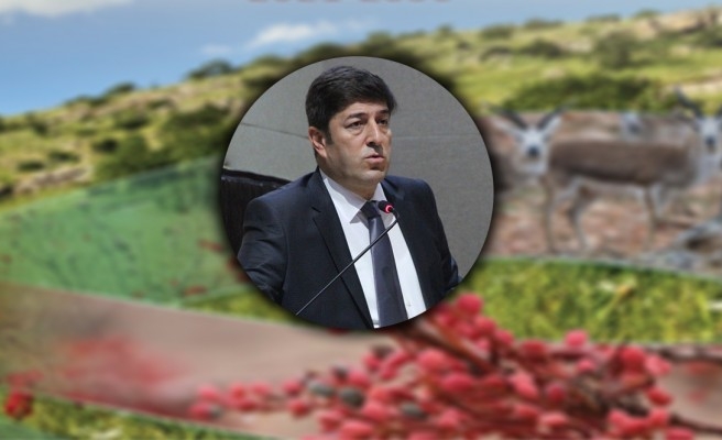 Urfa'yı ilgilendiren çalıştay: Envanter çıkarıldı