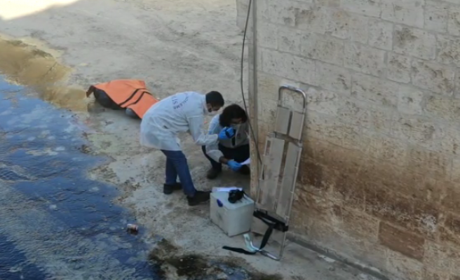 Şanlıurfa'da ceset bulundu: Kimliği tespit edildi