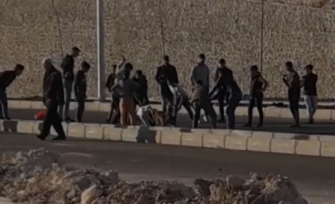 Şanlıurfa'da bir grup çocuk köpekleri kemerle dövdü