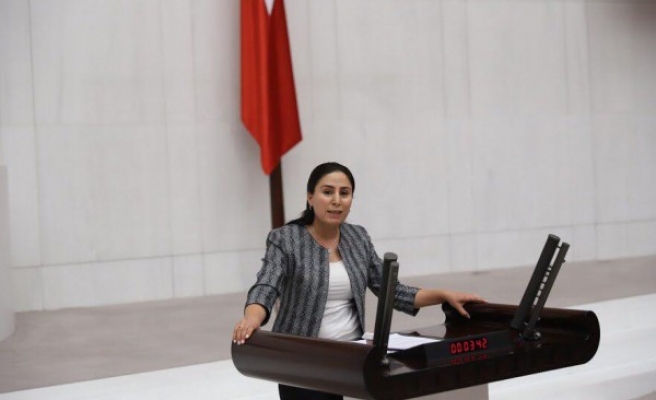 Urfalı vekil, DEDAŞ sorununu TBMM'ye taşıdı