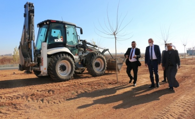 Akçakale-Şanlıurfa Yolunda çalışmalar başladı: Ağaçlandırılıyor