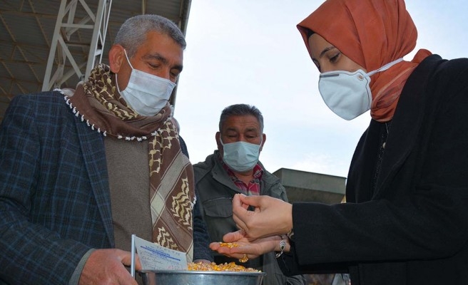 Ayşe Çakmak, buğday pazarı esnafını dinledi