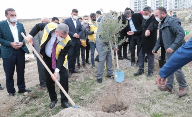 Urfa’da yeni yerleşim alanlarında ağaç dikim seferberliği başladı