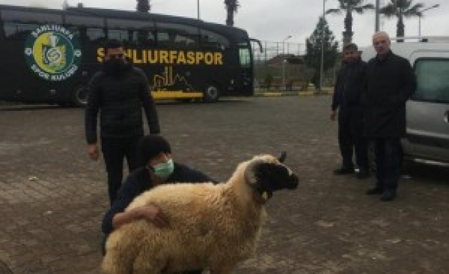 Şanlıurfaspor zorlu bir karşılaşma öncesi kan akıttı!