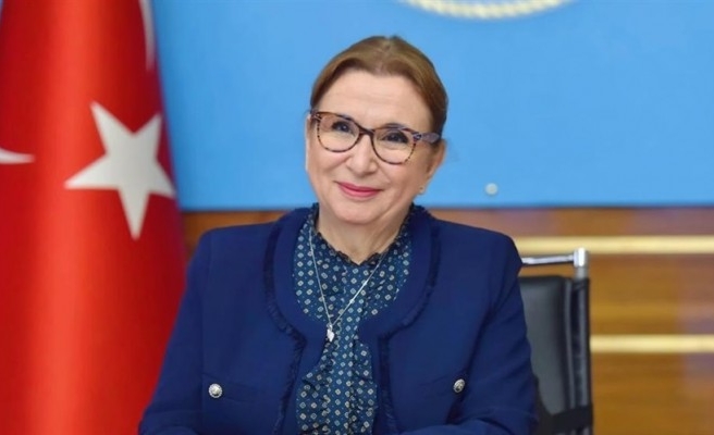 Kira ve gelir kaybı desteğinde süre uzatıldı