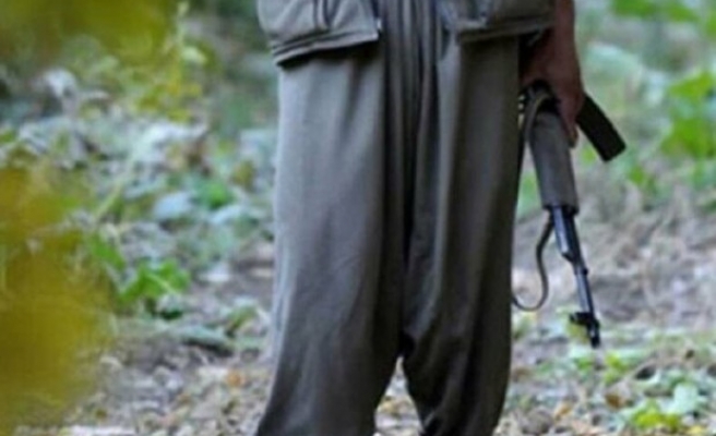 Şanlıurfa’da 3 terörist teslim oldu