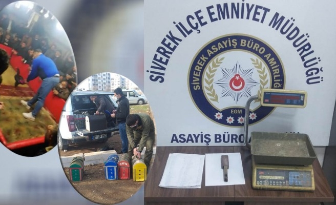 Şanlıurfa'da horoz dövüşü operasyonu: 72 kişiye ceza!
