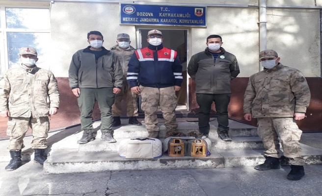 Şanlıurfa’da 2 keklik doğaya salındı