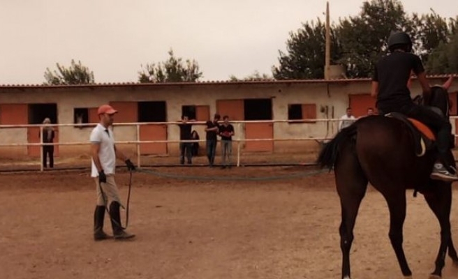 En çok Şanlıurfa’da yer alıyor