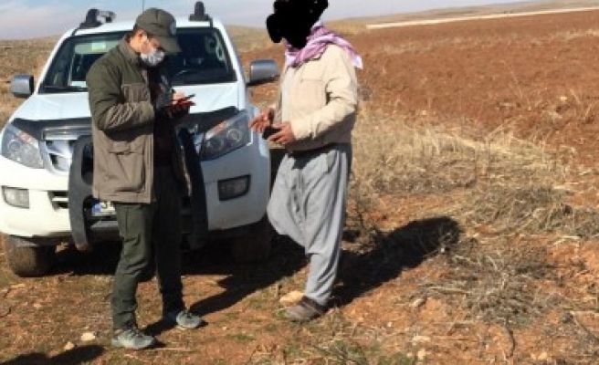 İki ilçede kaçak av operasyonu!