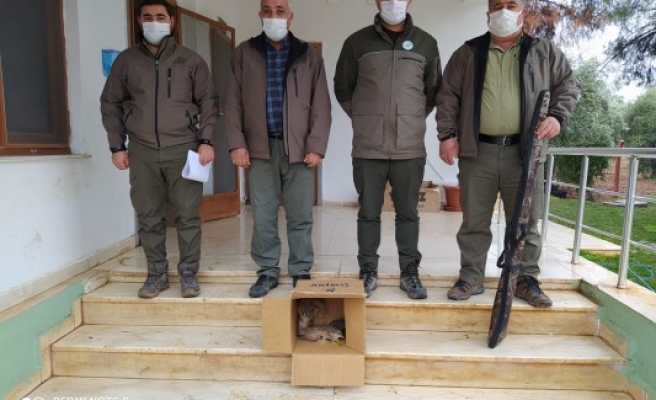 Ceylanpınar’da kaçak avcı yakalandı