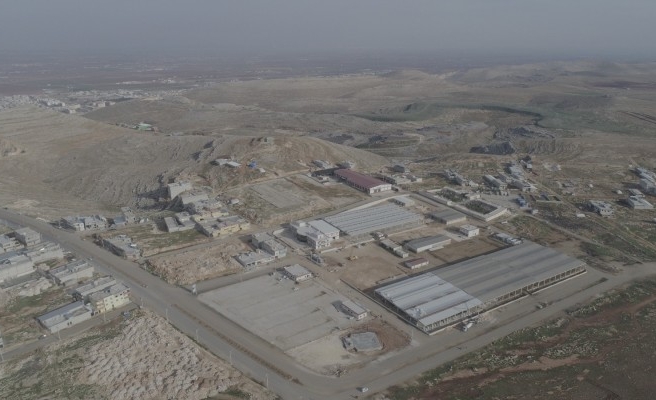 Hayvan Borsası yapımı devam ediyor