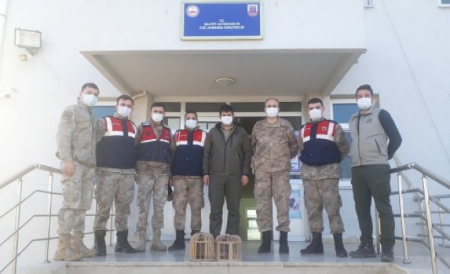 Şanlıurfa’da 11 kaçak avcı yakalandı  