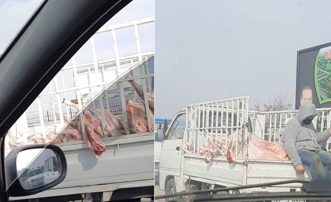 Şanlıurfa’da etler kamyonet kasasında taşındı