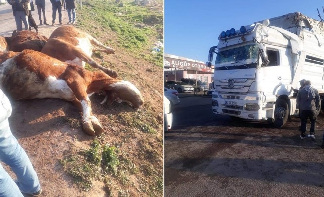 Şanlıurfa’da tır devrildi!