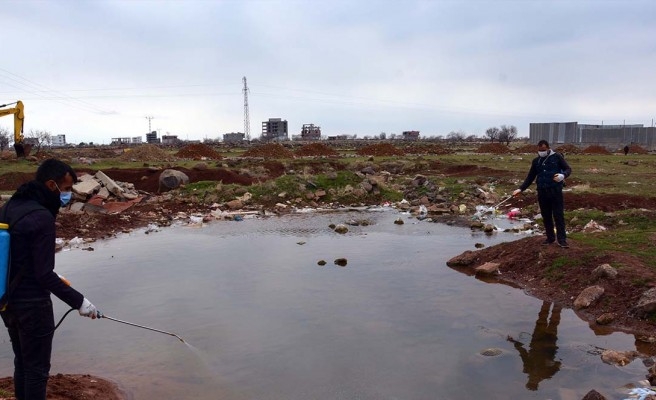 Siverek’te larva ile mücadele başladı