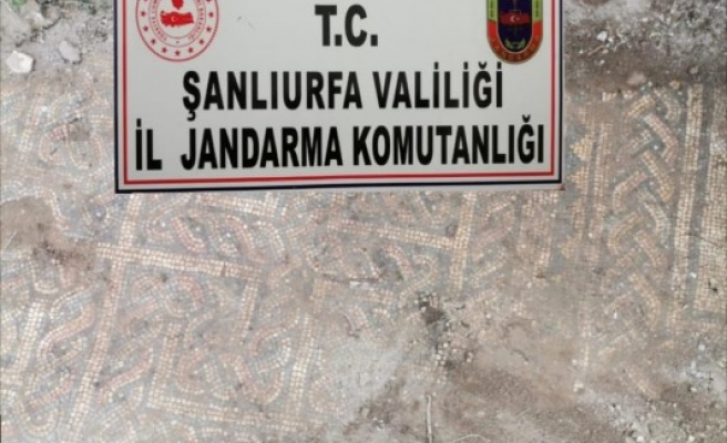 Viranşehir’de Roma Dönemi’ne ait mozaikler bulundu