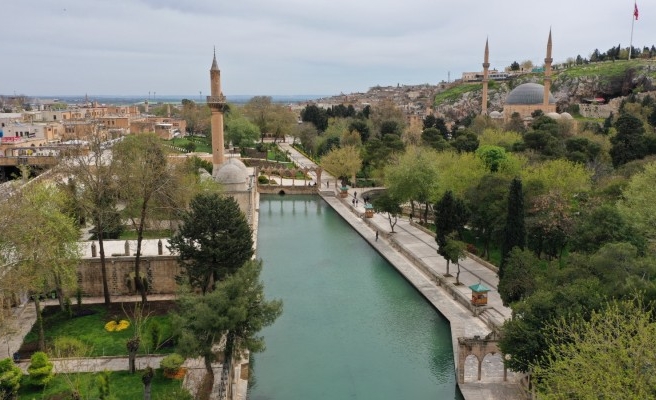 Balıklıgöl’de balık ölümleri kayıt altına alınıyor
