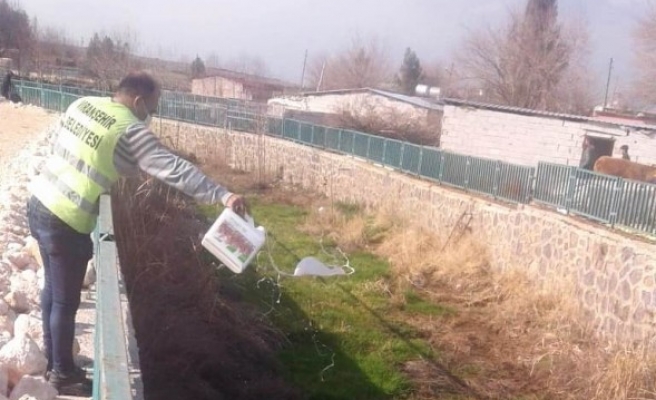 Viranşehir'de haşereyle mücadele başladı