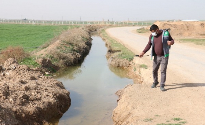 Akçakale'de larva ile mücadele çalışmaları devam ediyor