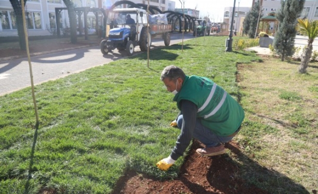 ‘Yeşil Koridor’da peyzaj çalışmaları başladı 